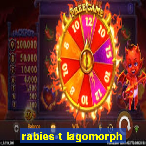 rabies t lagomorph